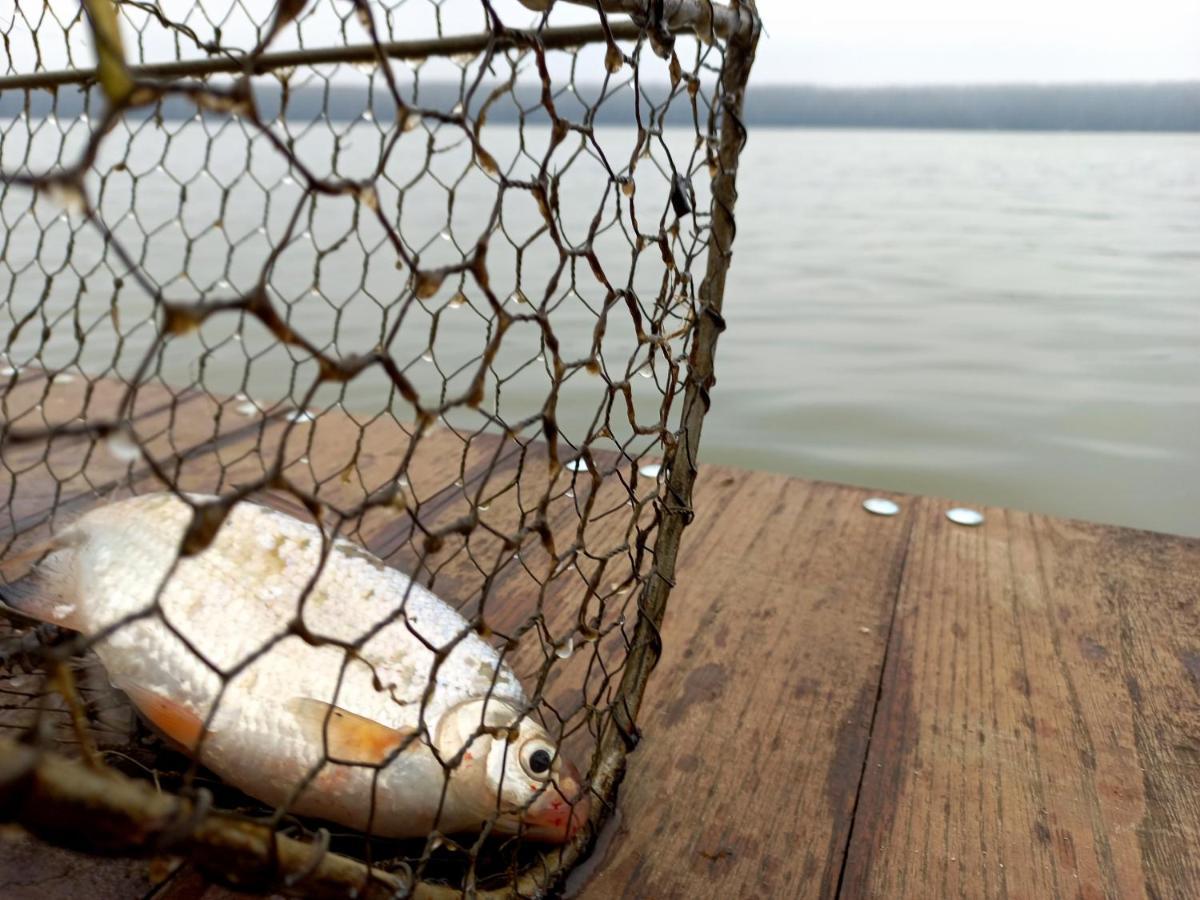 Bora Kuce Na Reci Belgrade