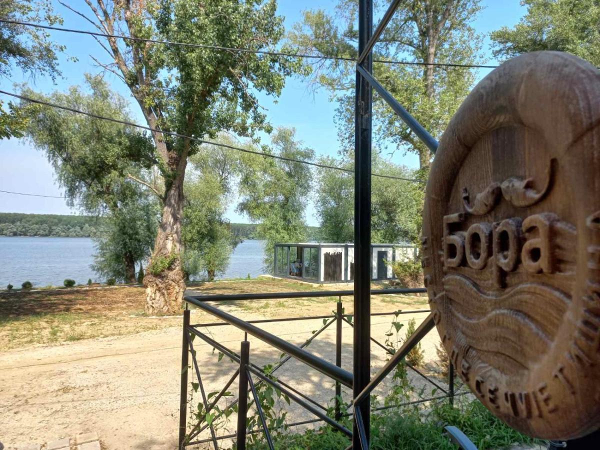 Bora Kuce Na Reci * Belgrade