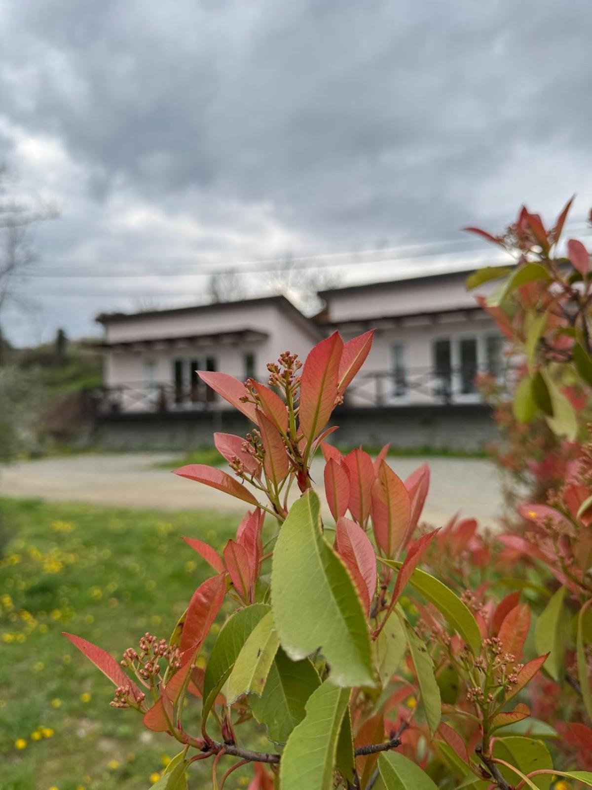 Holiday home Bora Kuce Na Reci Belgrade